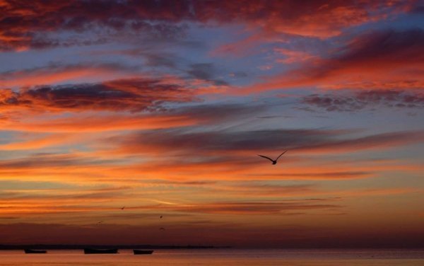 Павло Березюк 41 «лайк»